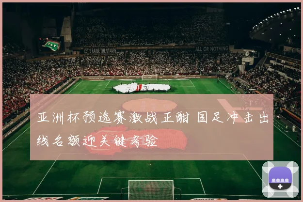 亚洲杯预选赛激战正酣 国足冲击出线名额迎关键考验
